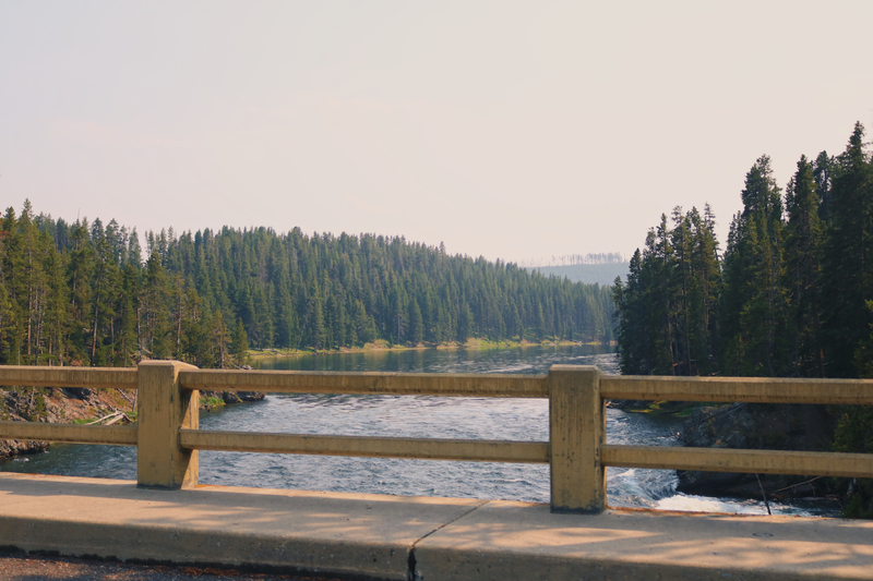 Illustration for article titled Photodump: Yellowstone National Park